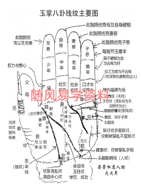 梁崇权  命相精博181页