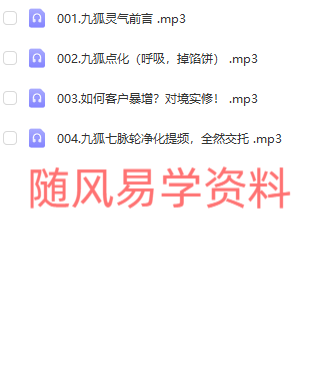 高维  九狐灵气课4集录音