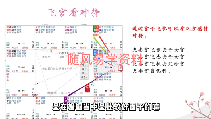 洛元   紫微斗数感情专题课视频5集
