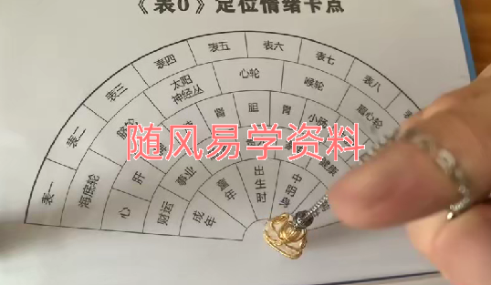 杨飞鸿《SRT情绪释放疗法》视频+录音+文档