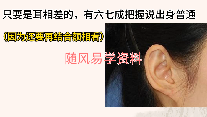 面相学基础课程18视频
