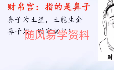 周瑞《面相识人专业课》视频18集