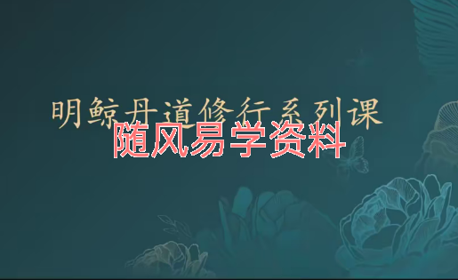 明鲸    南宗丹道视频8集